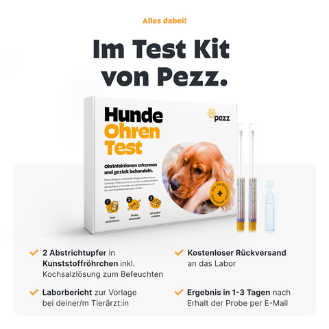 Hunde Ohreninfektionstest