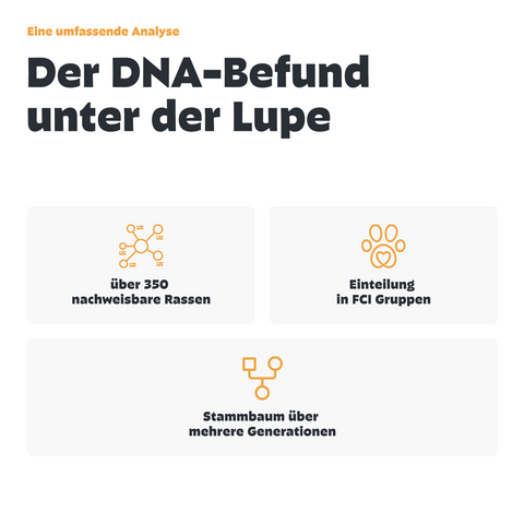 Hunde Rassebestimmung DNA-Test