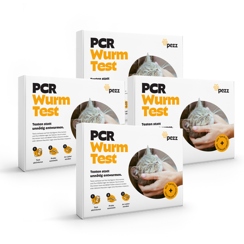 Katzen Wurmtest PCR