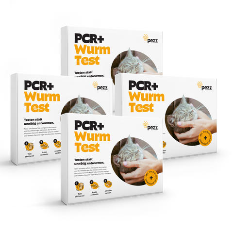 Katzen Wurmtest PCR 4 Stück