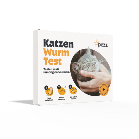 Katzen Wurmtest