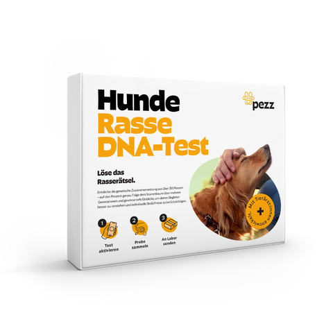 Hunde Rassebestimmung DNA-Test