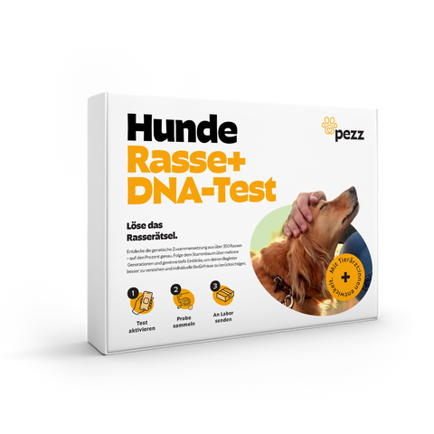Hunde Rasse & MDR1 DNA-Test