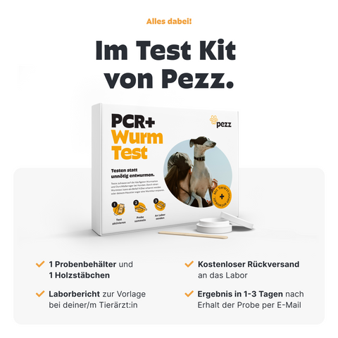 Hunde Wurmtest PCR+