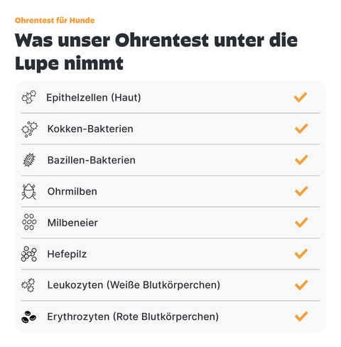 Hunde Ohreninfektionstest
