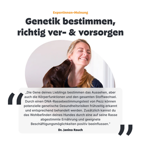 Hunde Rassebestimmung DNA-Test