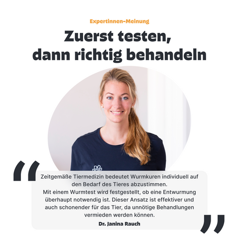 Katzen Wurmtest
