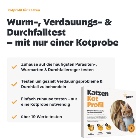 Dein Vorsorge-Testpaket für Katzen