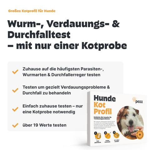 2in1 Analysen: Kotprofil & Urintest für Hunde