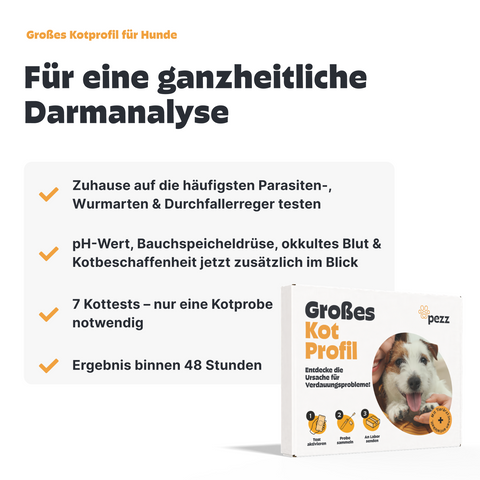 Dein Vorsorge-Testpaket für Hunde