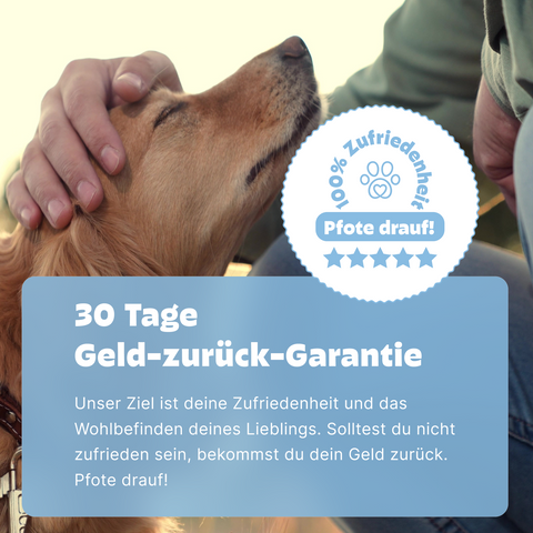 2in1 Analysen: DNA Test inkl. MDR1 & PCR Wurmtest für Hunde