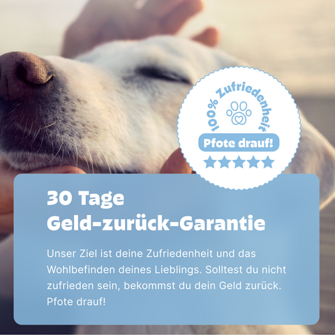 2in1 Analysen: Wurmtest PCR und Haut- & Juckreiztest für Hunde