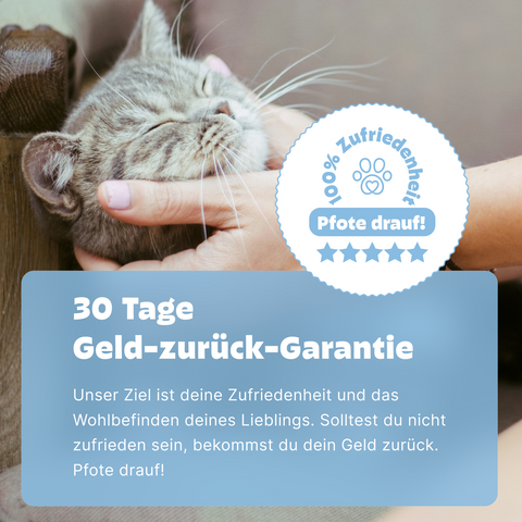 Katzen Wurmtest PCR 30 Tage Garantie
