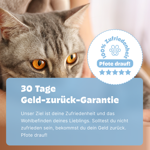 Katzen Durchfalltest PCR