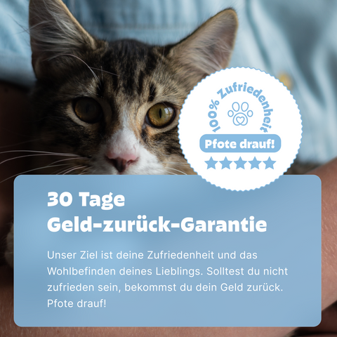 2in1 Analysen: PCR Wurmtest & Urintest für Katzen
