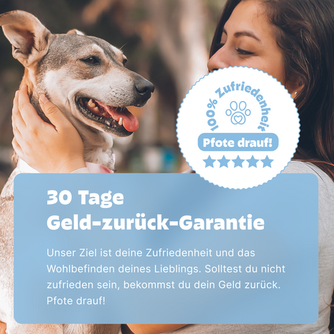 Hunde Urintest