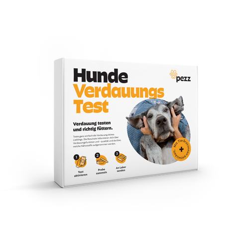 Hunde Verdauungstest