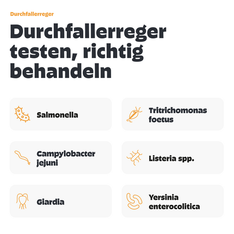 Kotprofil für Hunde