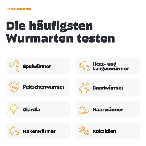 Kotprofil für Hunde