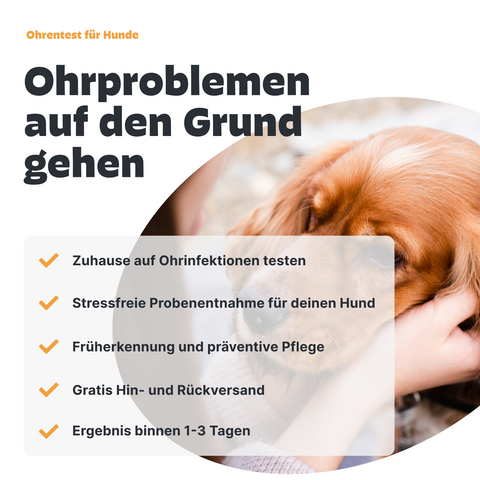 Hunde Ohreninfektionstest
