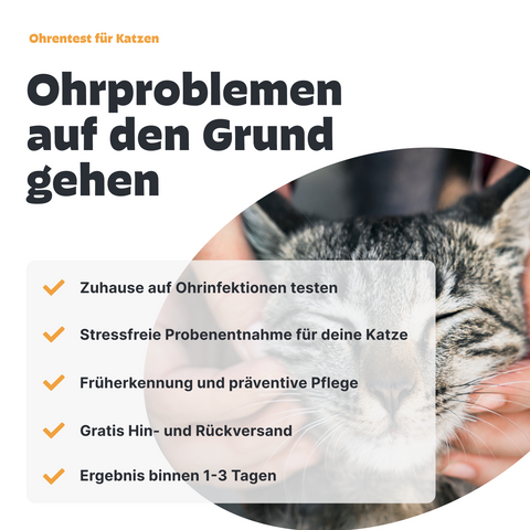 Katzen Ohreninfektionstest