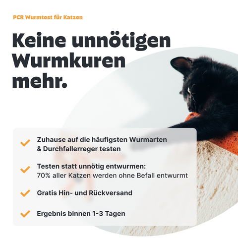 Katzen Wurmtest PCR