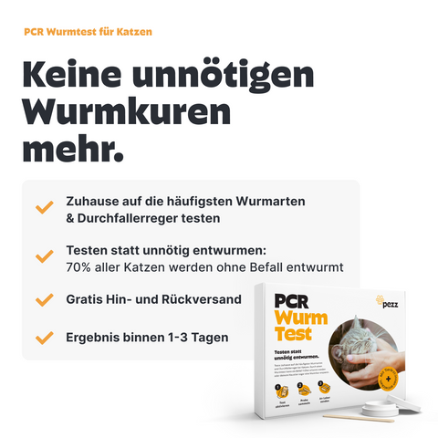 2in1 Analysen: PCR Wurmtest & Urintest für Katzen