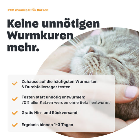 Katzen Wurmtest PCR