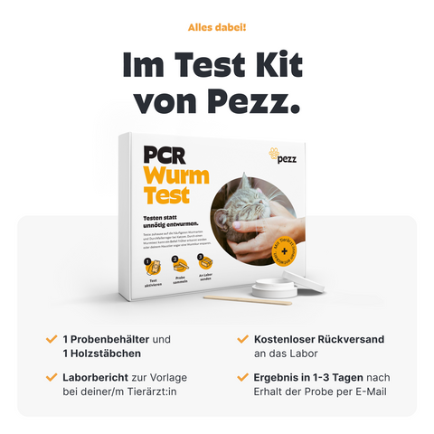 Katzen Wurmtest PCR