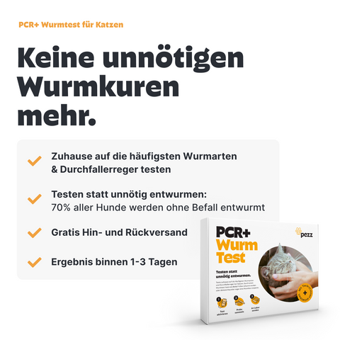 Dein Vorsorge-Testpaket für Katzen