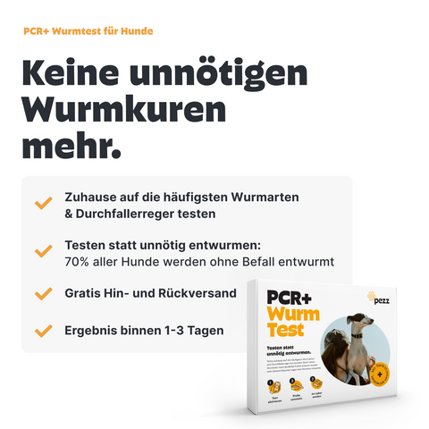 Dein Vorsorge-Testpaket für Hunde