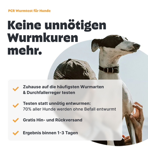 wurmtest statt wurmkur für den hund