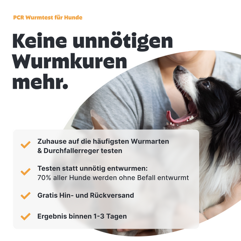 Hunde Wurmtest PCR