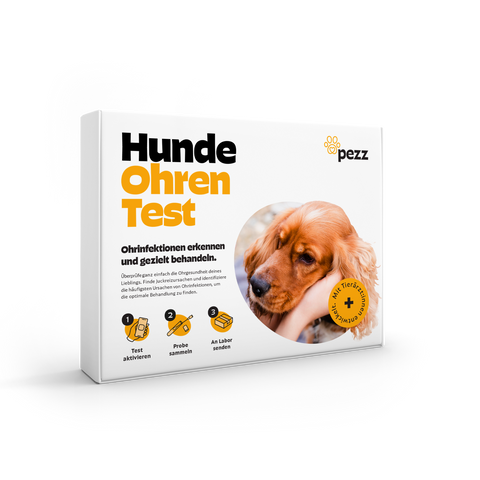 Hunde Ohreninfektionstest