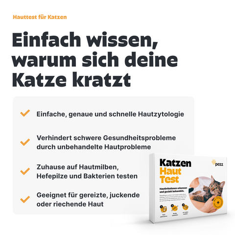 Dein Vorsorge-Testpaket für Katzen