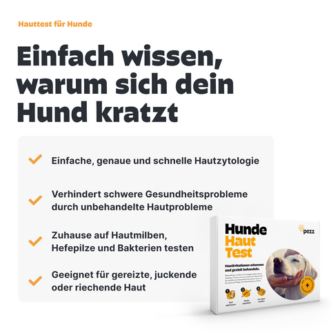 Dein Vorsorge-Testpaket für Hunde