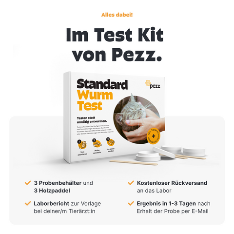Katzen Wurmtest