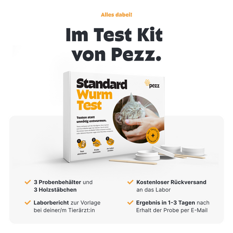 Katzen Wurmtest