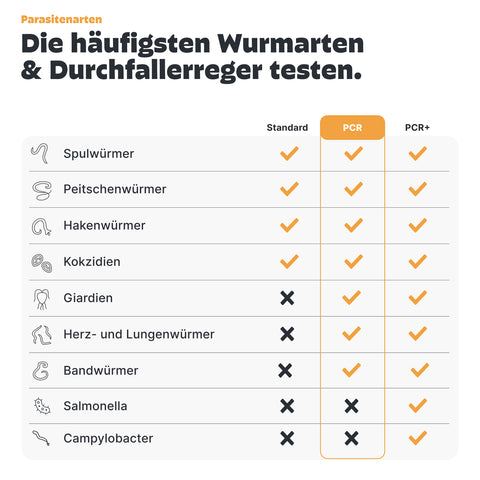 Hunde Wurmtest PCR