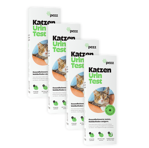Katzen Urintest