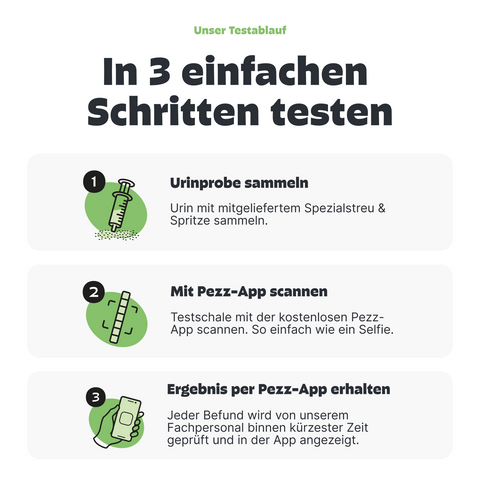 Harn sammeln. Wie funktioniert ein Harntest bei Katzen?