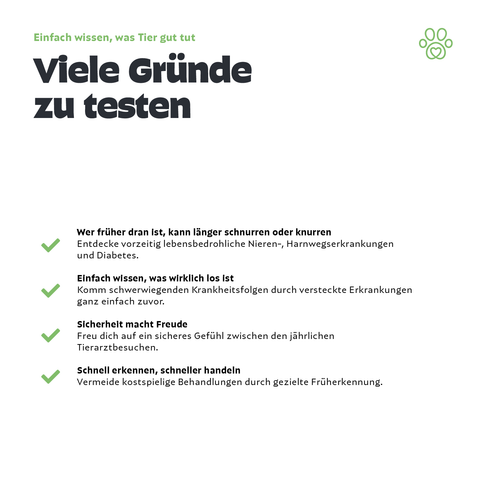 Hunde Urintest