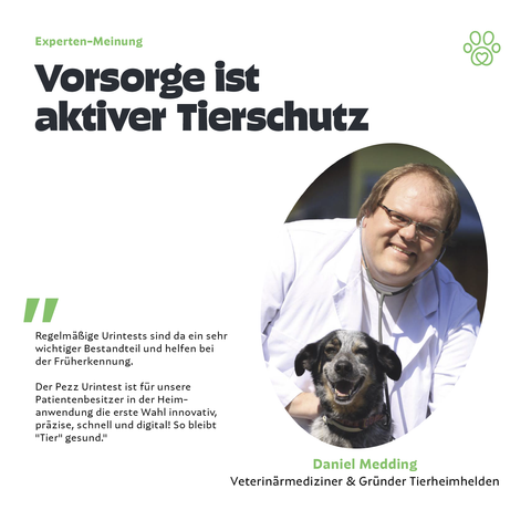 Katzen Urintest