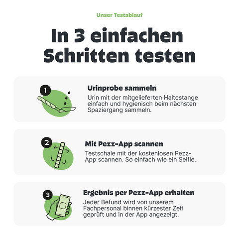 Harn sammeln. Wie funktioniert ein Harntest bei Hunden?