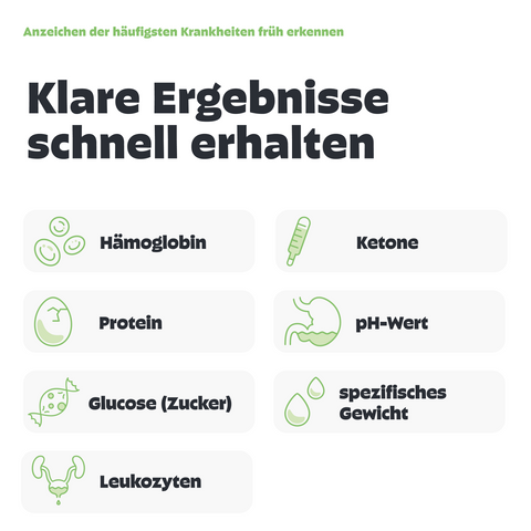 Was wird beim Urintest im Harn des Hundes gemessen?