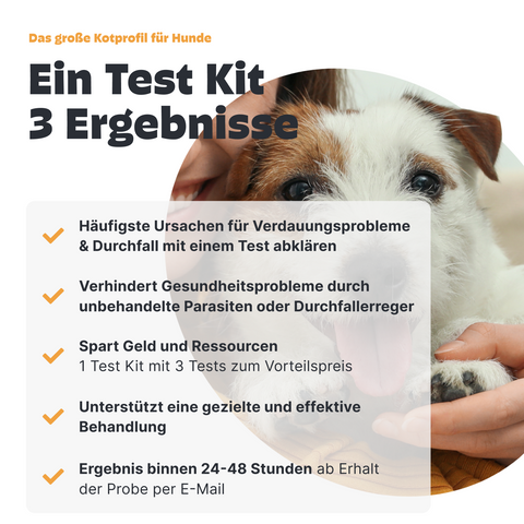 Kotprofil für Hunde