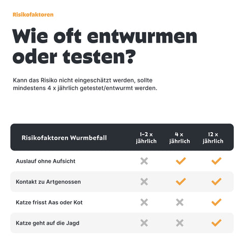 Katzen Wurmtest PCR Testhäufigkeit