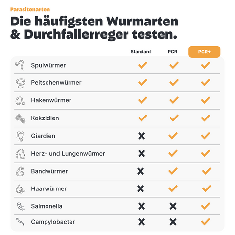 Hunde Wurmtest PCR+