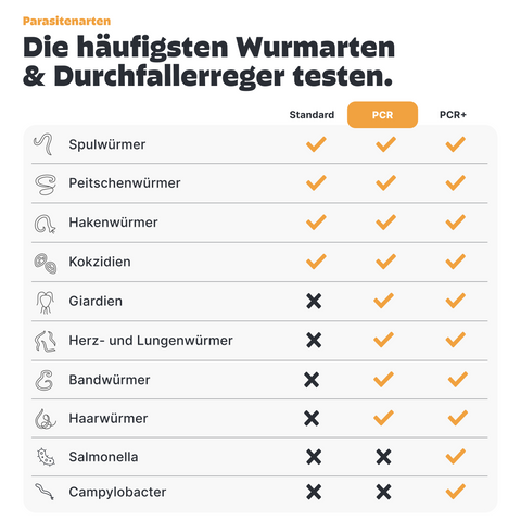Hunde Wurmtest PCR