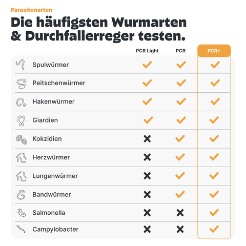 Katzen Wurmtest PCR+